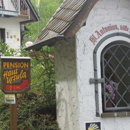 Pension Haus Ursula Koblenz  Dış mekan fotoğraf