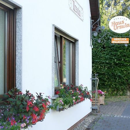 Pension Haus Ursula Koblenz  Dış mekan fotoğraf