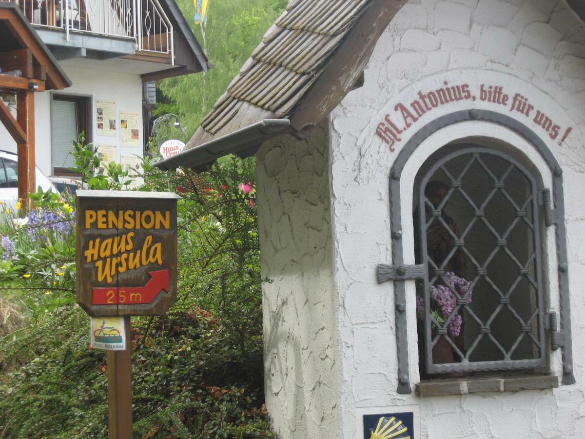 Pension Haus Ursula Koblenz  Dış mekan fotoğraf